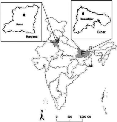 Assessing the impact of rice-wheat-maize residue decomposition rate and nutrient dynamics of residue and soil using different placement method in the IGP of India